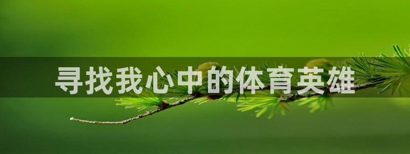 oety欧亿体育官网下载招商电话是多少