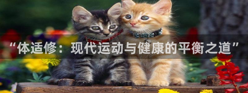 oety欧亿体育官网下载平台注册流程图：“体适修：现