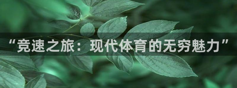 oety欧亿体育官网下载平台是正规平台吗安全吗：“竞速之旅：
