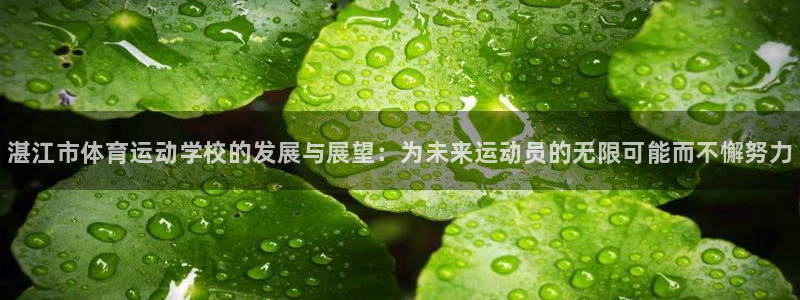 欧亿体育官方正版app集团官网网址：湛江市体育运动学