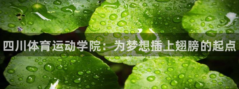 oety欧亿体育官网下载平台注册流程图：四川体育运动