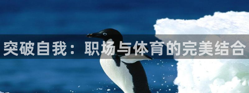 oety欧亿体育官网下载招商电话是多少啊：突破自我：