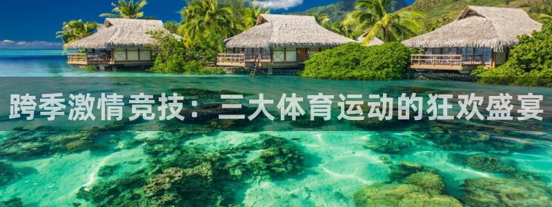 欧亿体育官方正版app娱乐代理怎么样：跨季激情竞技：三大体育