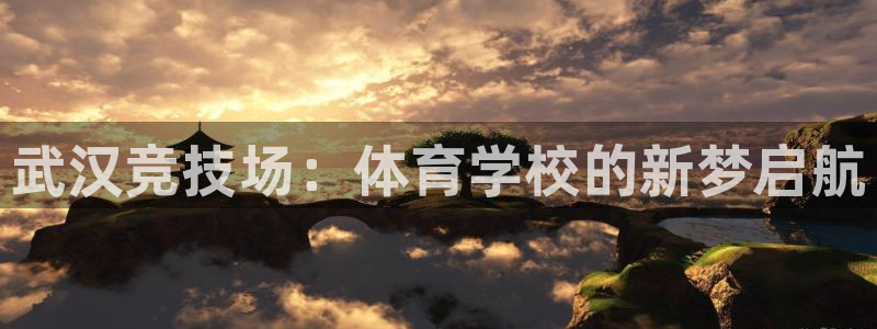 oety欧亿体育官网下载平台注册：武汉竞技场：体育学校的新梦