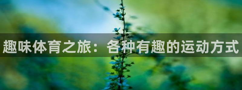 海南oety欧亿体育官网下载发展怎么样：趣味体育之旅：各种有