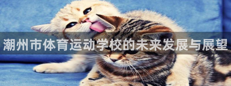 oety欧亿体育官网下载招商电话号码：潮州市体育运动