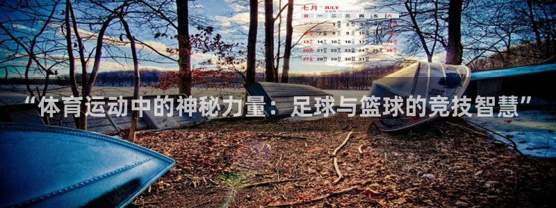 欧亿体育官方正版app新能源：“体育运动中的神秘力量