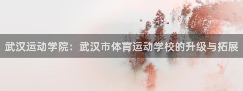 欧亿体育官方正版app娱乐：武汉运动学院：武汉市体育