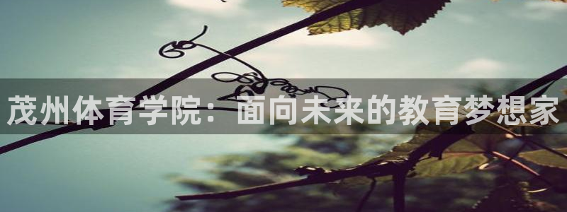 oety欧亿体育官网下载招商电话是多少：茂州体育学院