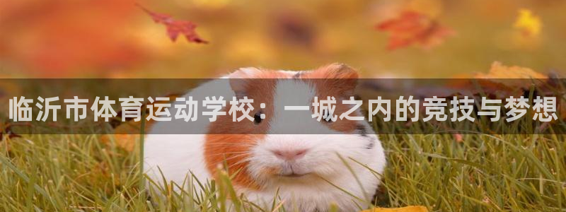 oety欧亿体育官网下载平台假的吗是真的吗吗：临沂市