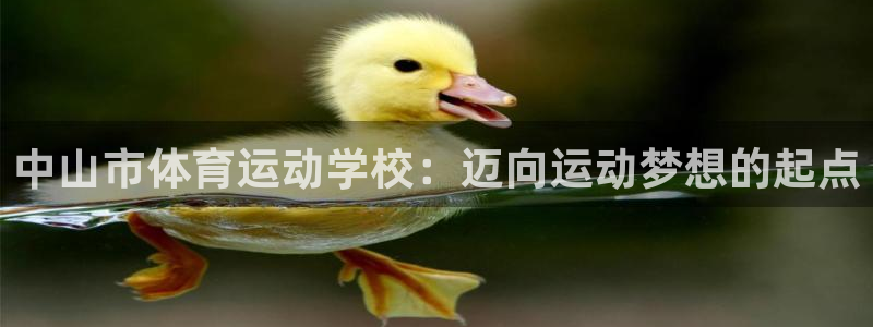 oety欧亿体育官网下载招商电话号码是多少号：中山市体育运动