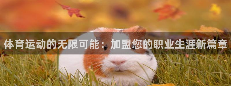 oety欧亿体育官网下载平台APP：体育运动的无限可能：加盟