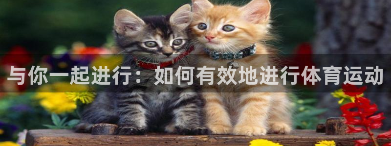 欧亿体育官方集团官网：与你一起进行：如何有效地进行体育运动