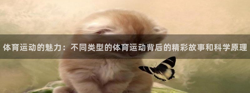 oety欧亿体育官网下载招商电话号码：体育运动的魅力